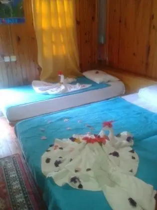 Bungalow, Havuz Manzaralı