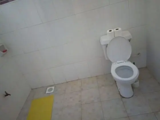 Standard Oda