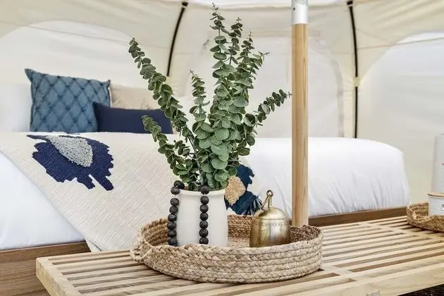 Beach Shack