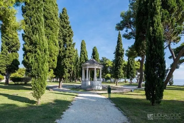 Apart Daire, 1 Büyük (Queen) Boy Yatak ve Çekyat