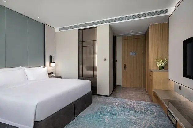 Superior Tek Büyük Yataklı Oda