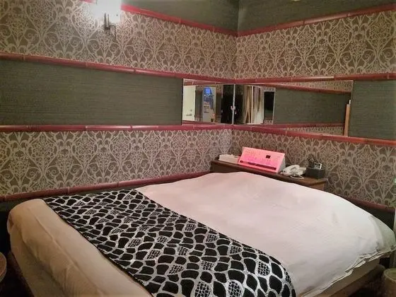 Tek Büyük Yataklı Oda (Standard)