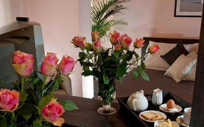 Superior Tek Kişilik Oda