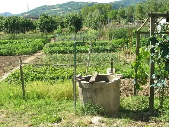 Tek Büyük Yataklı Oda (Camera 1)