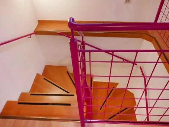 Ev