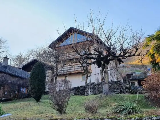 Ev