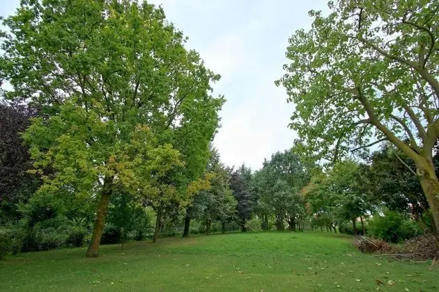 Süit, Bağlantılı Odalar, Park Manzaralı