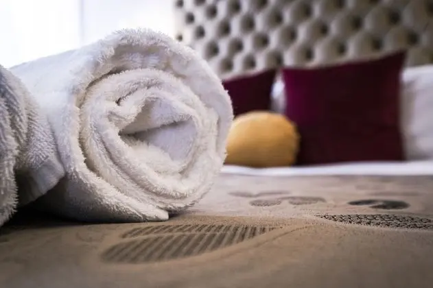 Tek Büyük veya İki Ayrı Yataklı Oda, Kanal Manzaralı