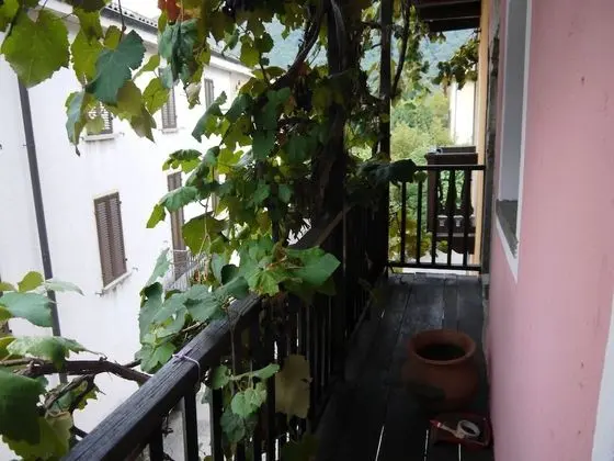 Apart Daire (CORTILE)