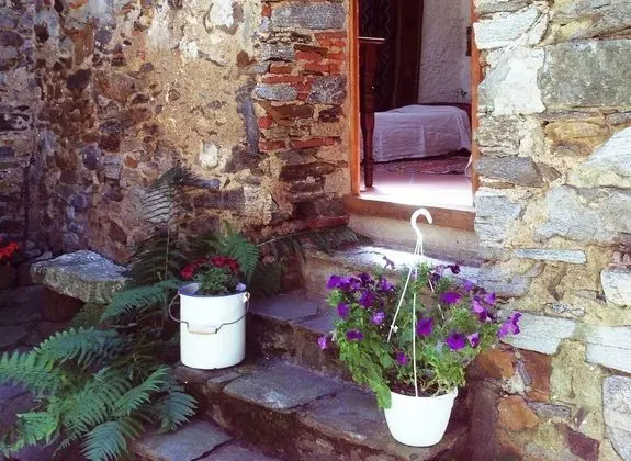 Tek Büyük Yataklı Oda (B&B PADIGLIONE)