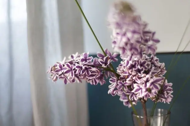 Comfort Tek Büyük veya İki Ayrı Yataklı Oda