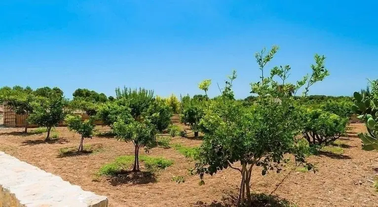 Apart Daire, 2 Yatak Odası, Vadi Manzaralı