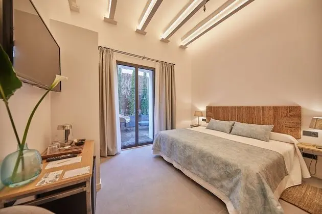 Standard Tek Büyük Yataklı Oda, Teras