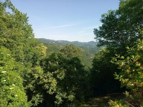 Tek Büyük veya İki Ayrı Yataklı Oda, Ortak Banyo