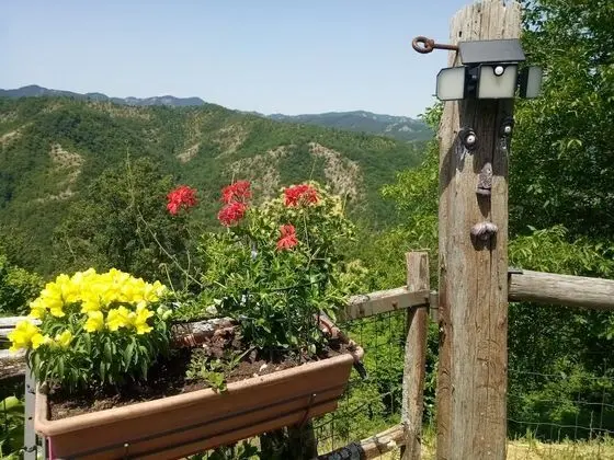 Tek Büyük veya İki Ayrı Yataklı Oda, Ortak Banyo