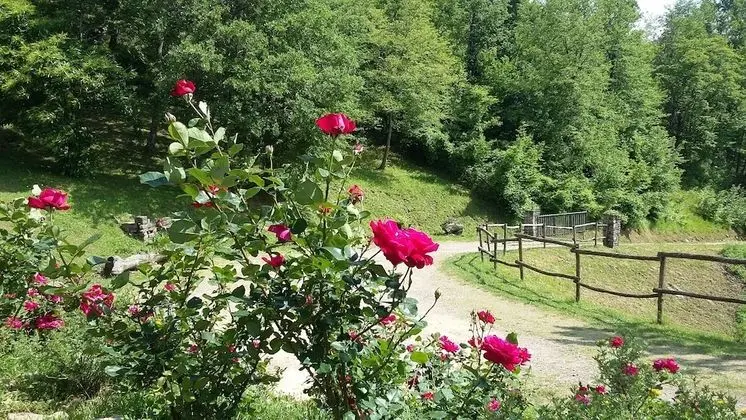Tek Büyük veya İki Ayrı Yataklı Oda, Ortak Banyo