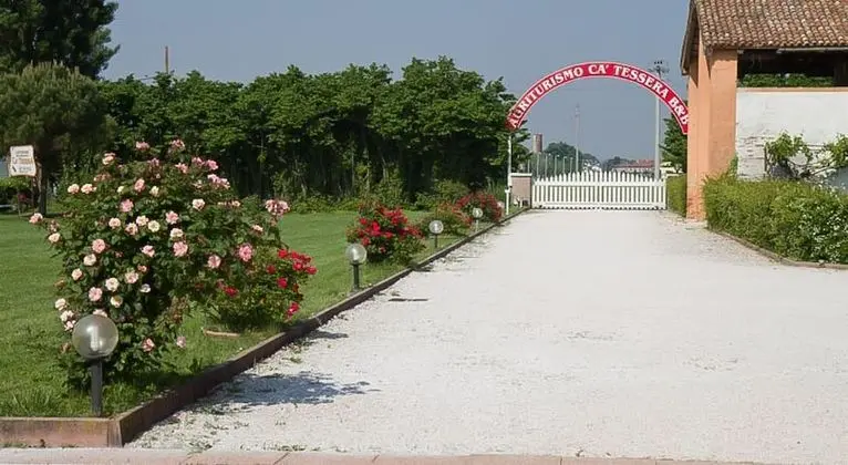 Superior Oda, Bahçe Manzaralı