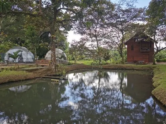 Basic Kır Evi, Sigara İçilmez, Göl Manzaralı