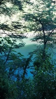 Ev, 3 Yatak Odası, Şömine