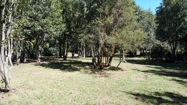 Ev, 3 Yatak Odası, Şömine
