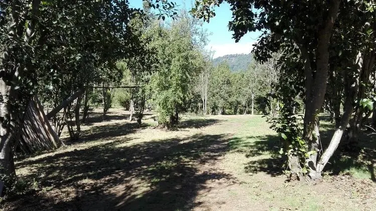 Ev, 3 Yatak Odası, Şömine