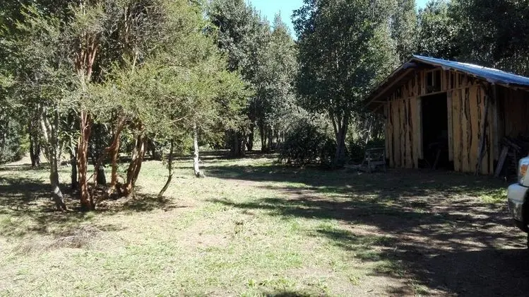 Ev, 3 Yatak Odası, Şömine