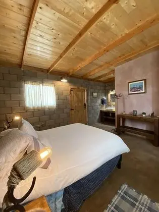 Comfort Oda (Bucefalo)