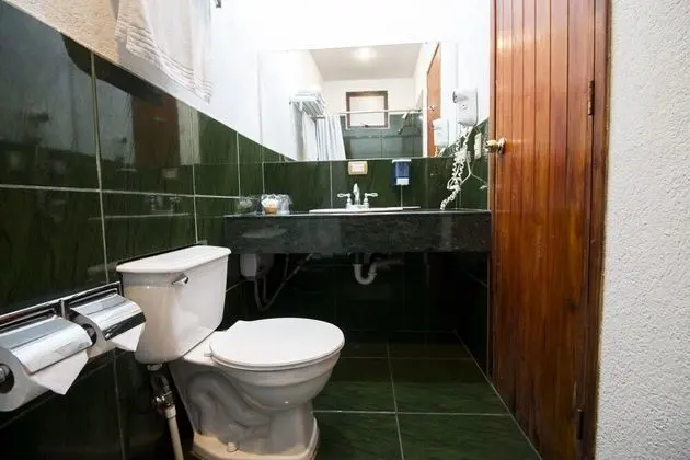 Standard Tek Büyük Yataklı Oda, 1 Çift Kişilik Yatak