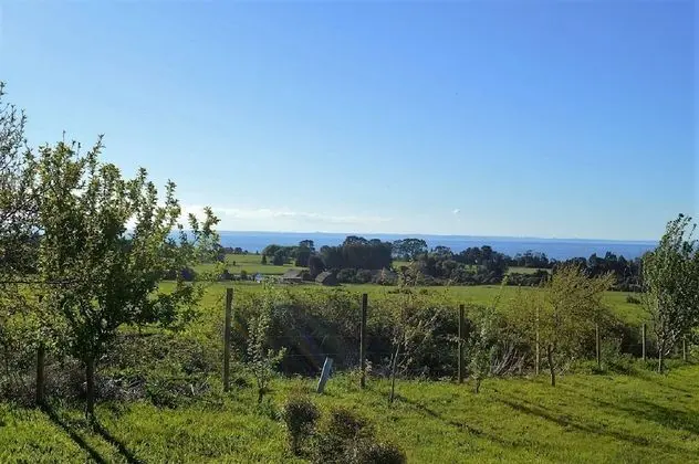 Bungalov, 3 Yatak Odası
