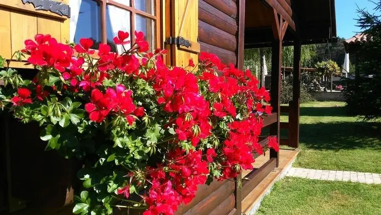 Kulübe, 1 Yatak Odası