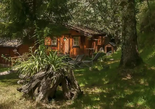 Bungalov, 1 Yatak Odası