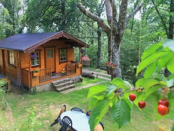 Bungalov, 2 Yatak Odası