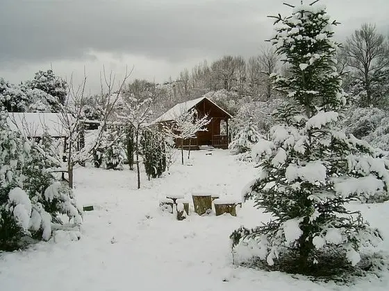 Comfort Kulübe, 2 Yatak Odası