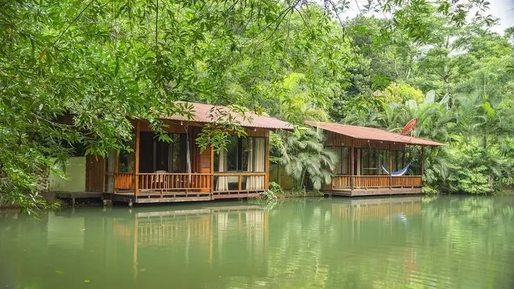Standard Bungalov, 1 Çift Kişilik Yatak ve Çekyat, Göl Manzaralı