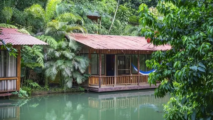 Superior Bungalov, Birden Çok Yatak, Sigara İçilmez, Göl Manzaralı