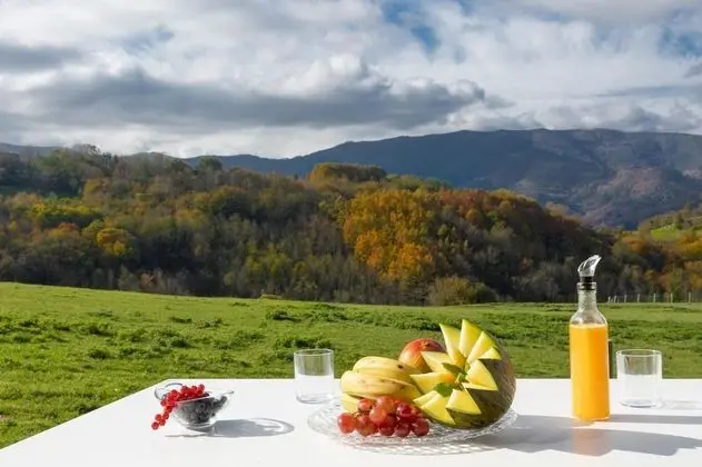 Deluxe Kır Evi, 2 Yatak Odası