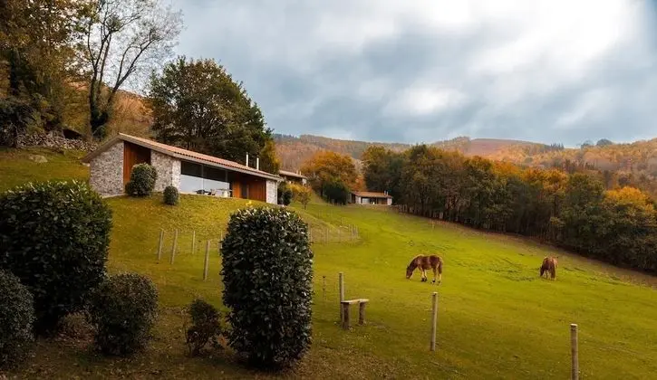 Deluxe Kır Evi, 2 Yatak Odası