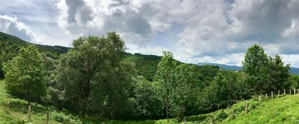 One-Bedroom Gran Deluxe Bungalow