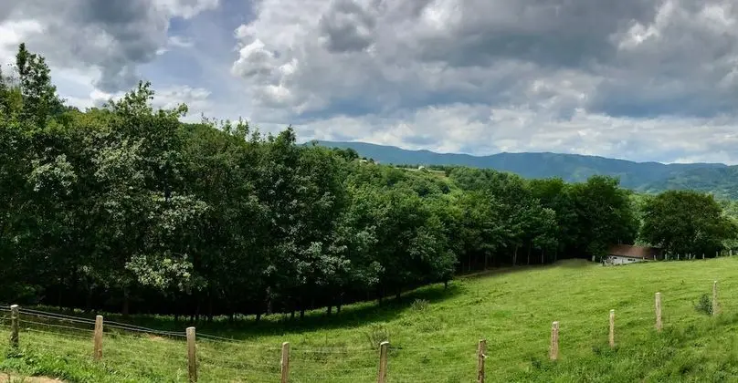 One-Bedroom Gran Deluxe Bungalow