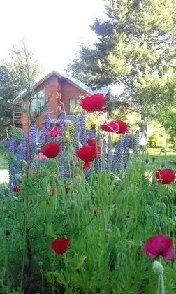 Family Kulübe, 2 Yatak Odası, Dağ Manzaralı, Dağ Yamacı