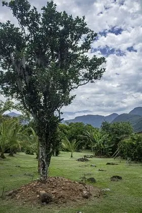 Romantic Dağ Evi, 1 Çift Kişilik Yatak, Jakuzi, Dağ Manzaralı