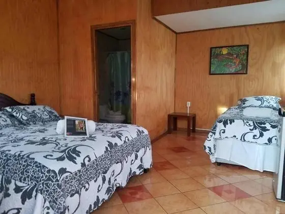 Classic Dört Kişilik Oda, 1 Yatak Odası, Teras, Avlu Manzaralı
