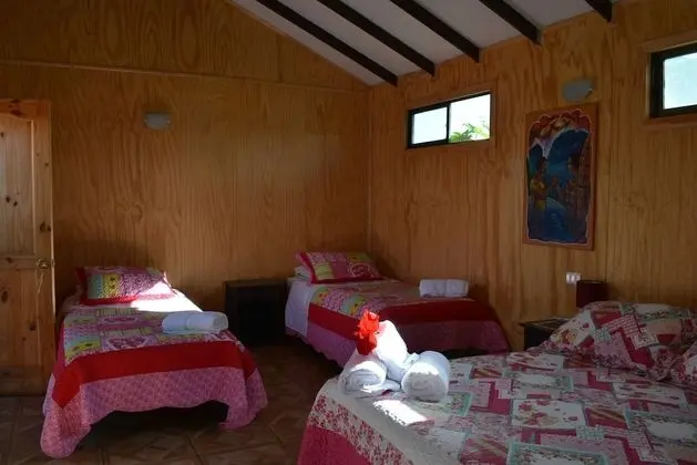 Classic Dört Kişilik Oda, 1 Yatak Odası, Teras, Avlu Manzaralı