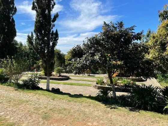 Kulübe, 2 Yatak Odası, Şömine