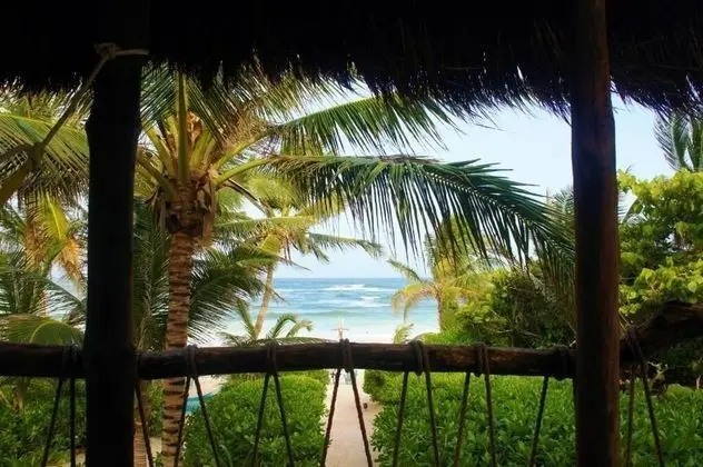 Coconut Cove