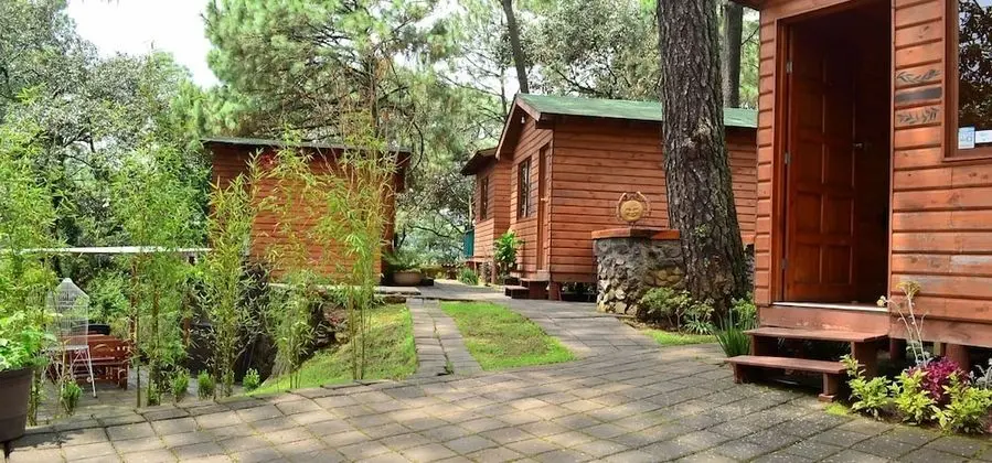 Üç Kişilik Oda