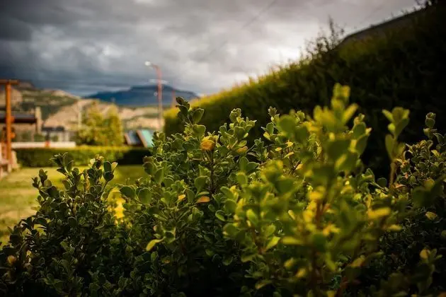 Bungalov, 2 Yatak Odası, Dağ Manzaralı