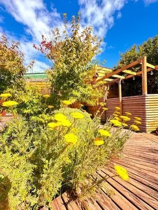 Superior Kulübe, 1 Yatak Odası, Sigara İçilmez, Resort Manzaralı