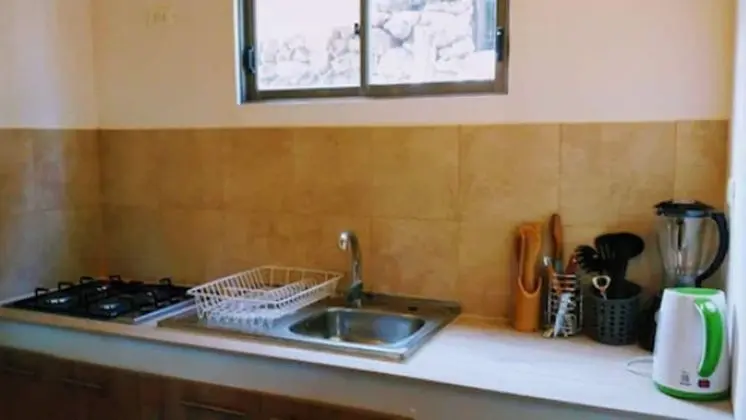 Standard Çatı Katı (Loft), 1 Yatak Odası, Mutfak (Cabin 1)