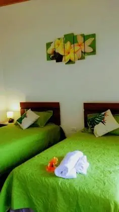 Standard Çatı Katı (Loft), 1 Yatak Odası, Mutfak (Cabin 2)